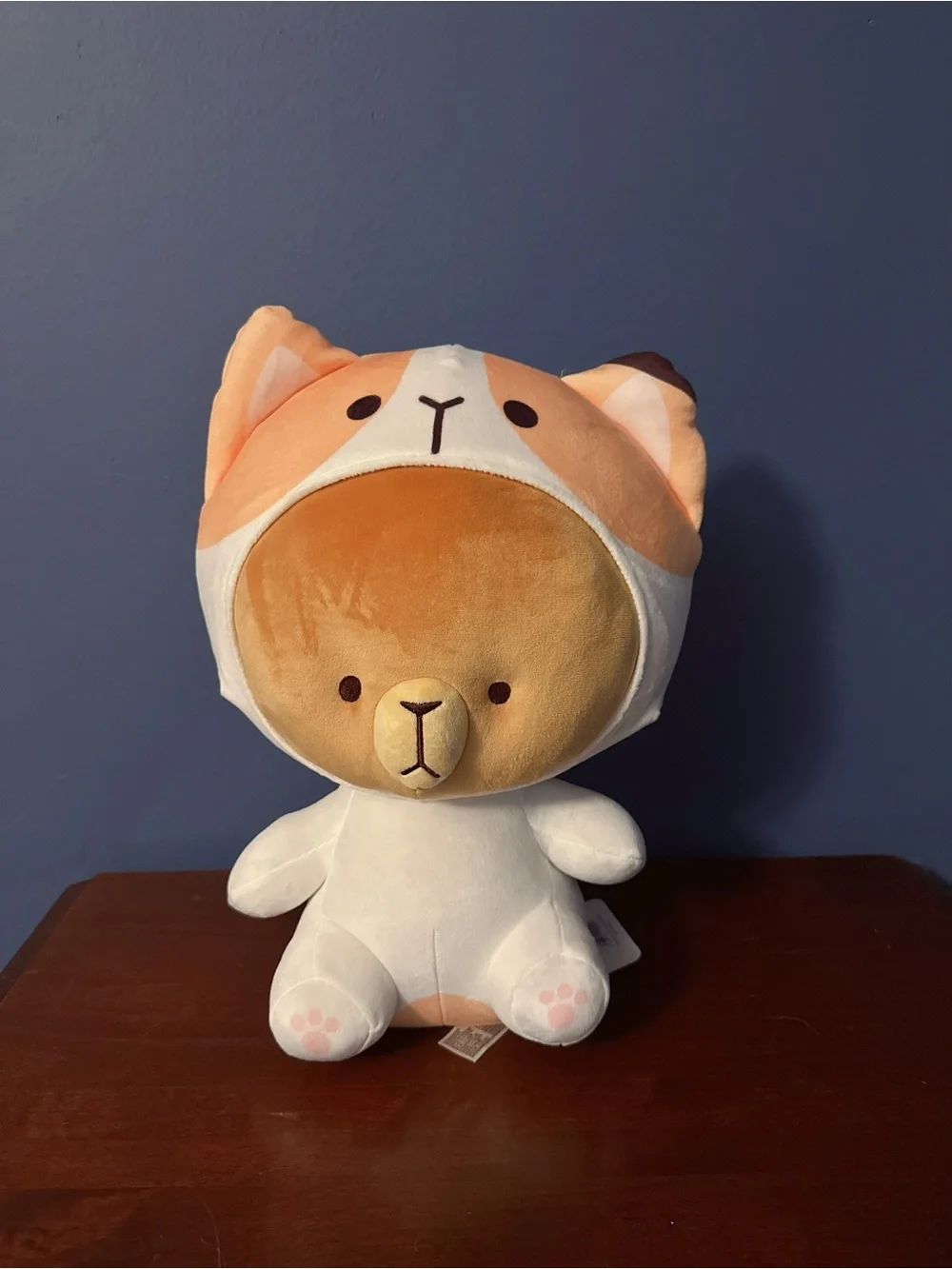 NEW Milk Mocha Bear (Kitty Mocha) ~14
